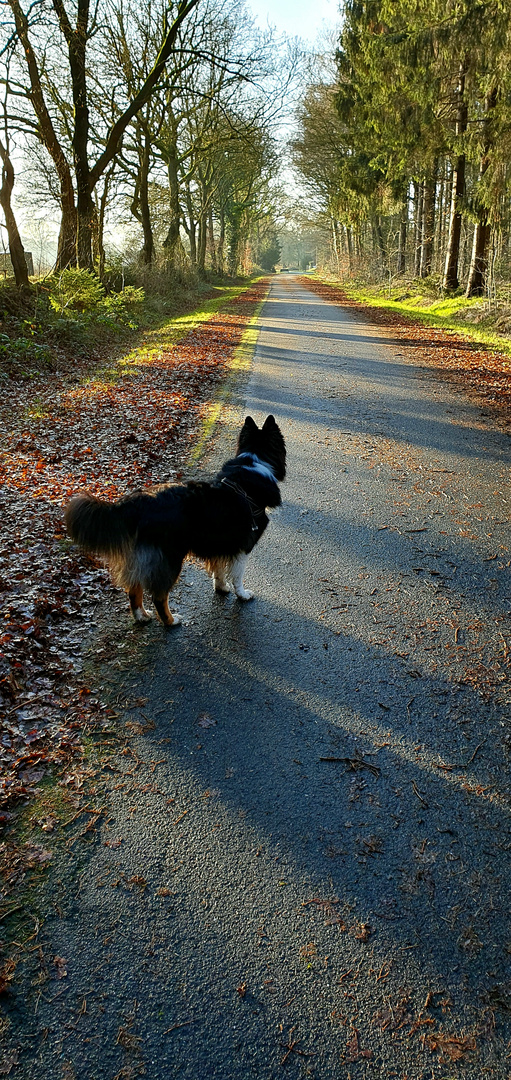 Schöner Tag