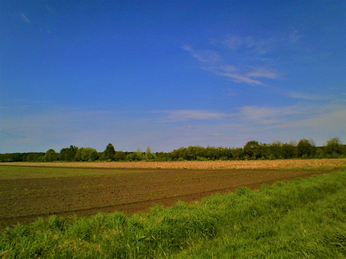 Schöner Tag in der Natur