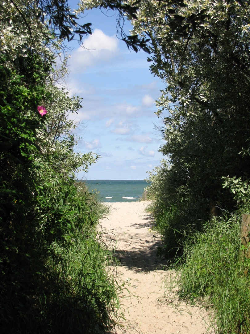 Schöner Übergang zur Ostsee