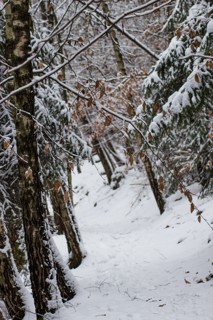 schöner Wanderweg im Winter