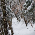 schöner Wanderweg im Winter