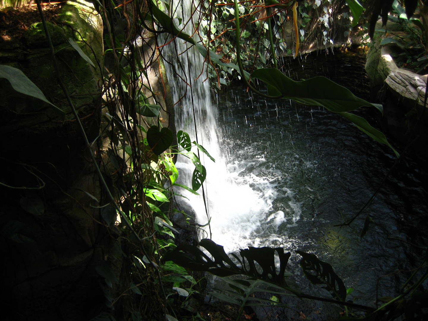 Schöner Wasserfall