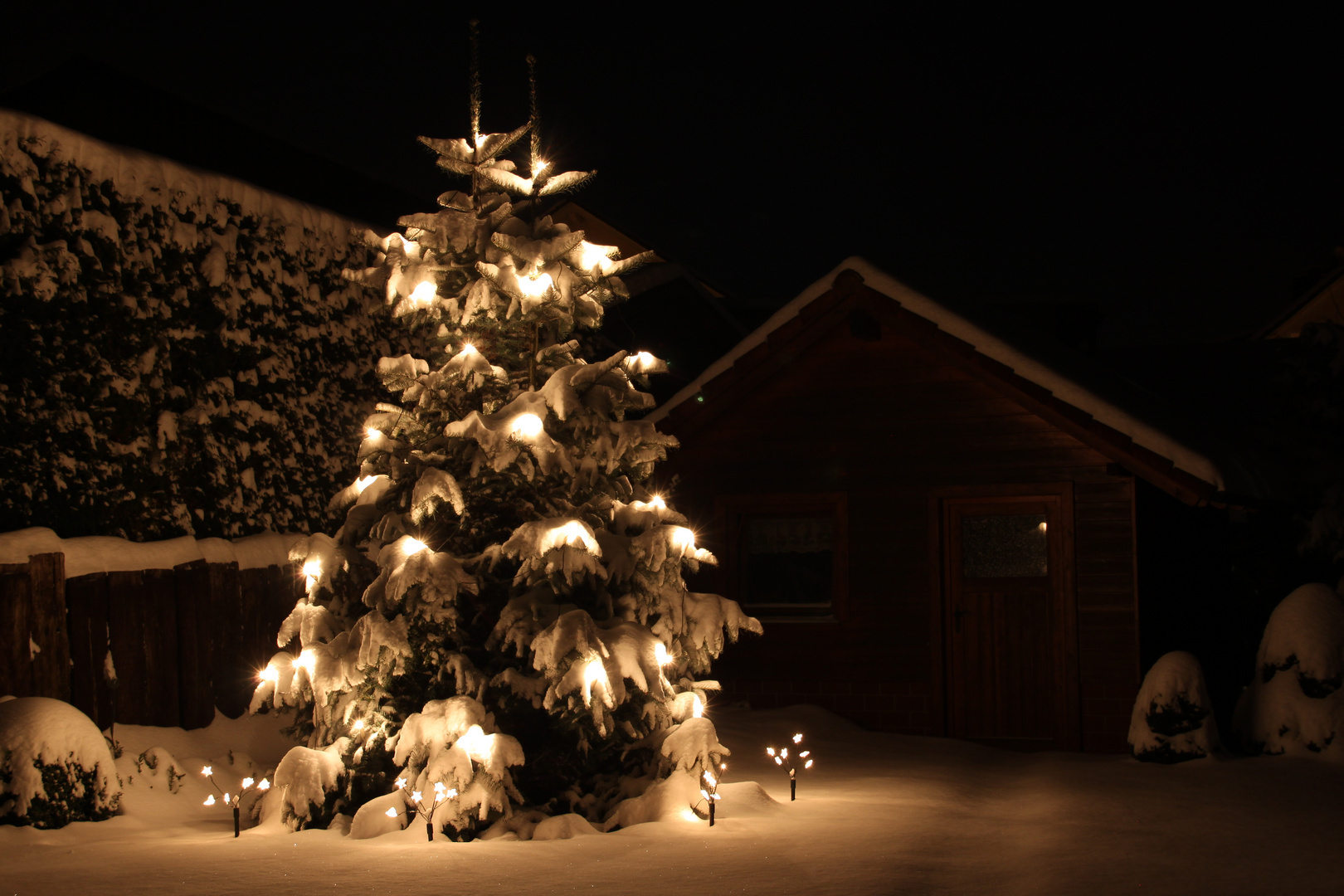 schöner Weihnachtsbaum