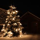 schöner Weihnachtsbaum