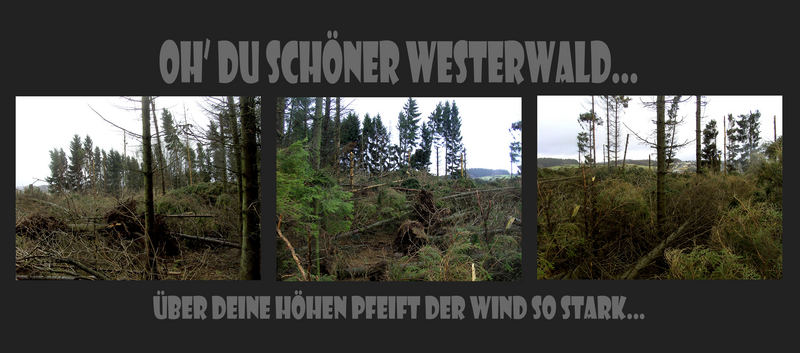 schöner westerwald...