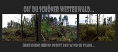 schöner westerwald...