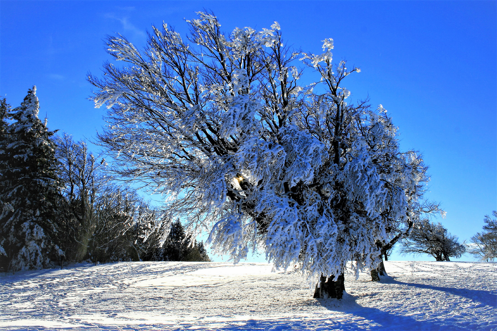 schöner winter 2