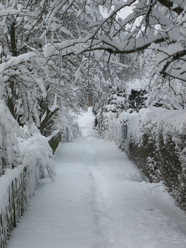 Schöner Winter 2006