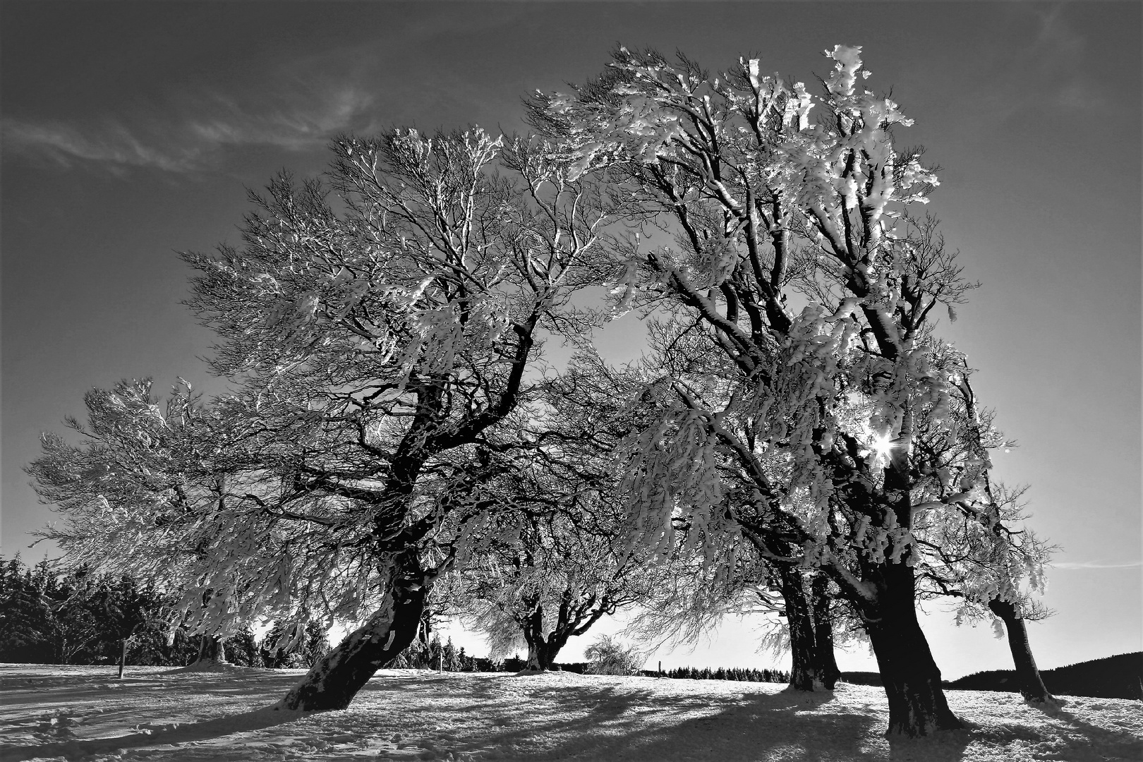 schöner winter,