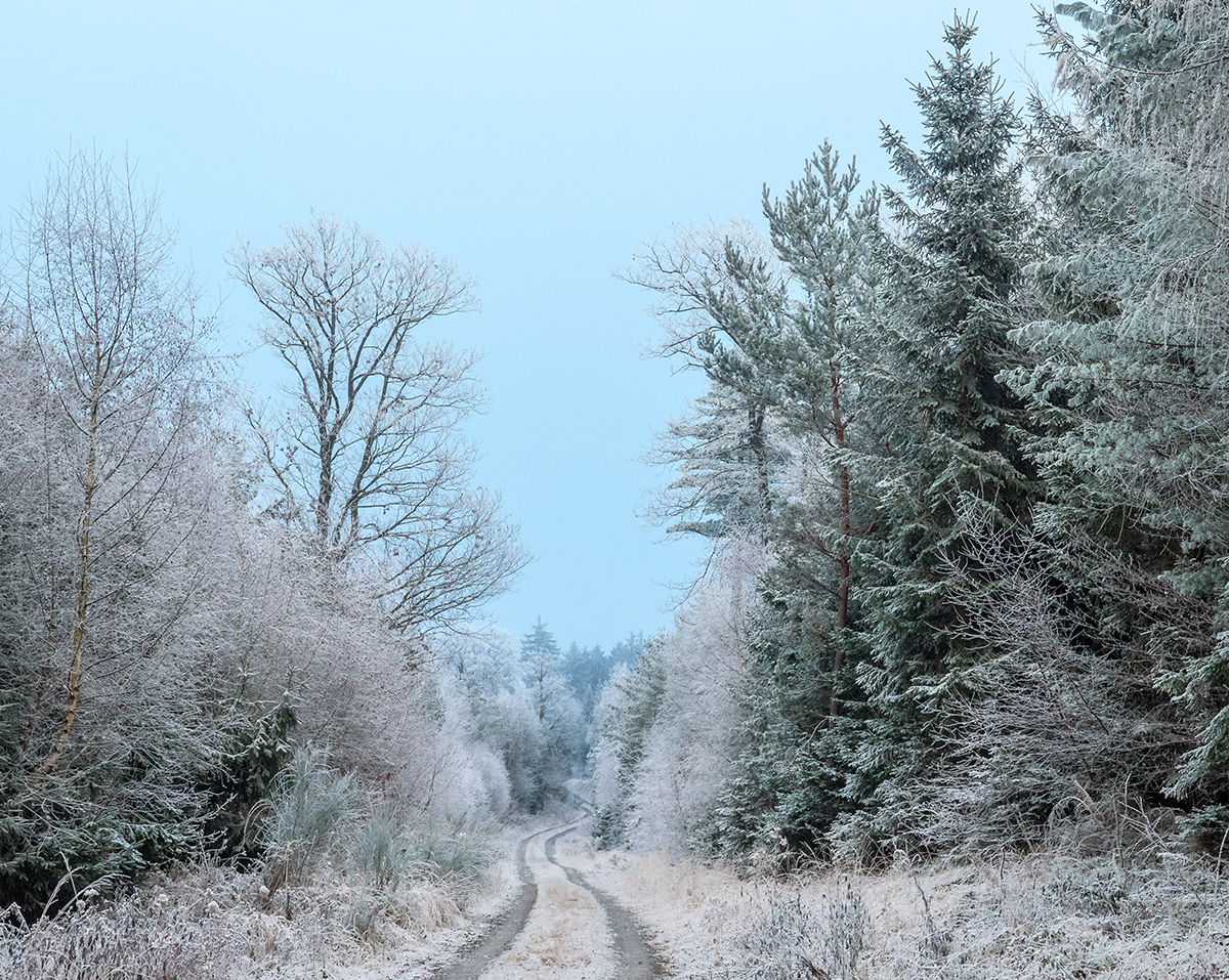 schöner Winter