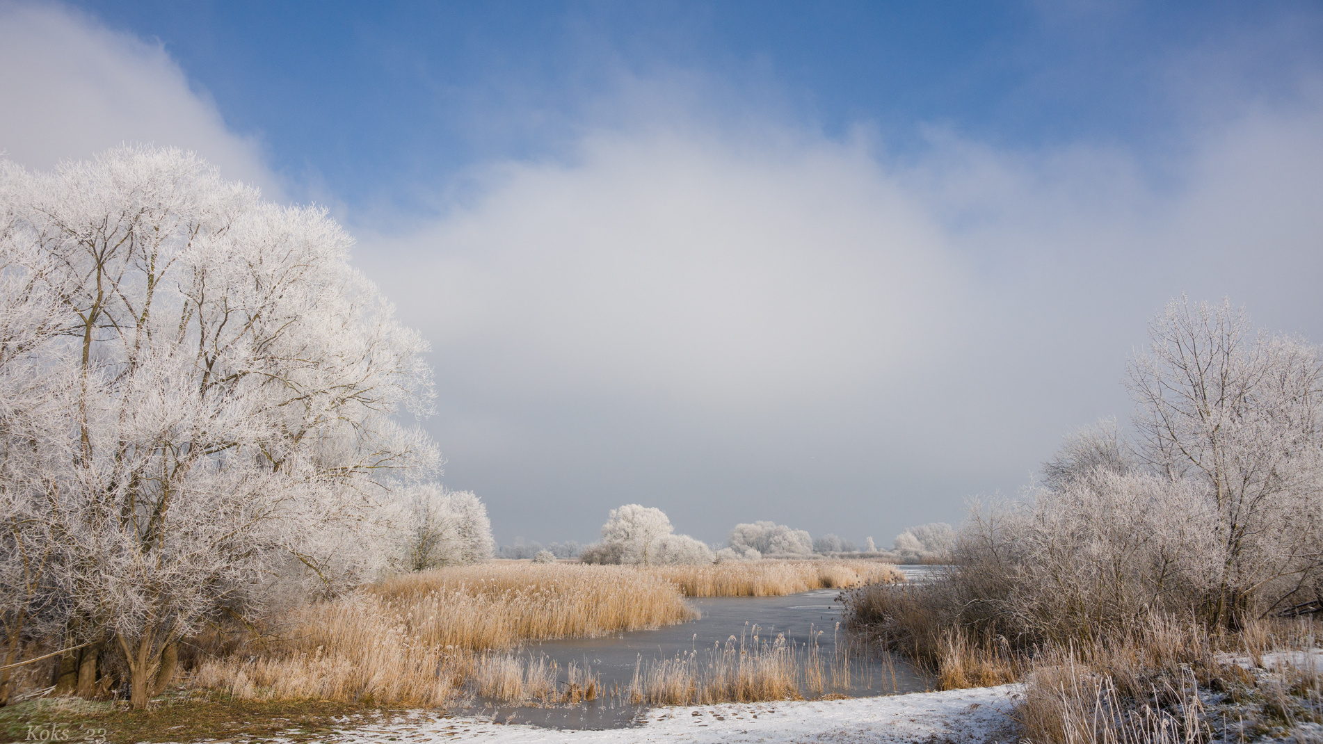 Schöner Winter