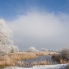 Schöner Winter