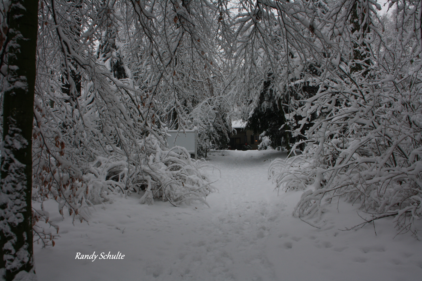 Schöner Winter