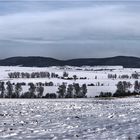 Schöner Winter