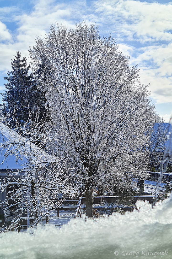 Schöner Winter im Frühling 