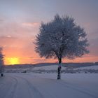 schöner winterlicher Sonnenaufgang