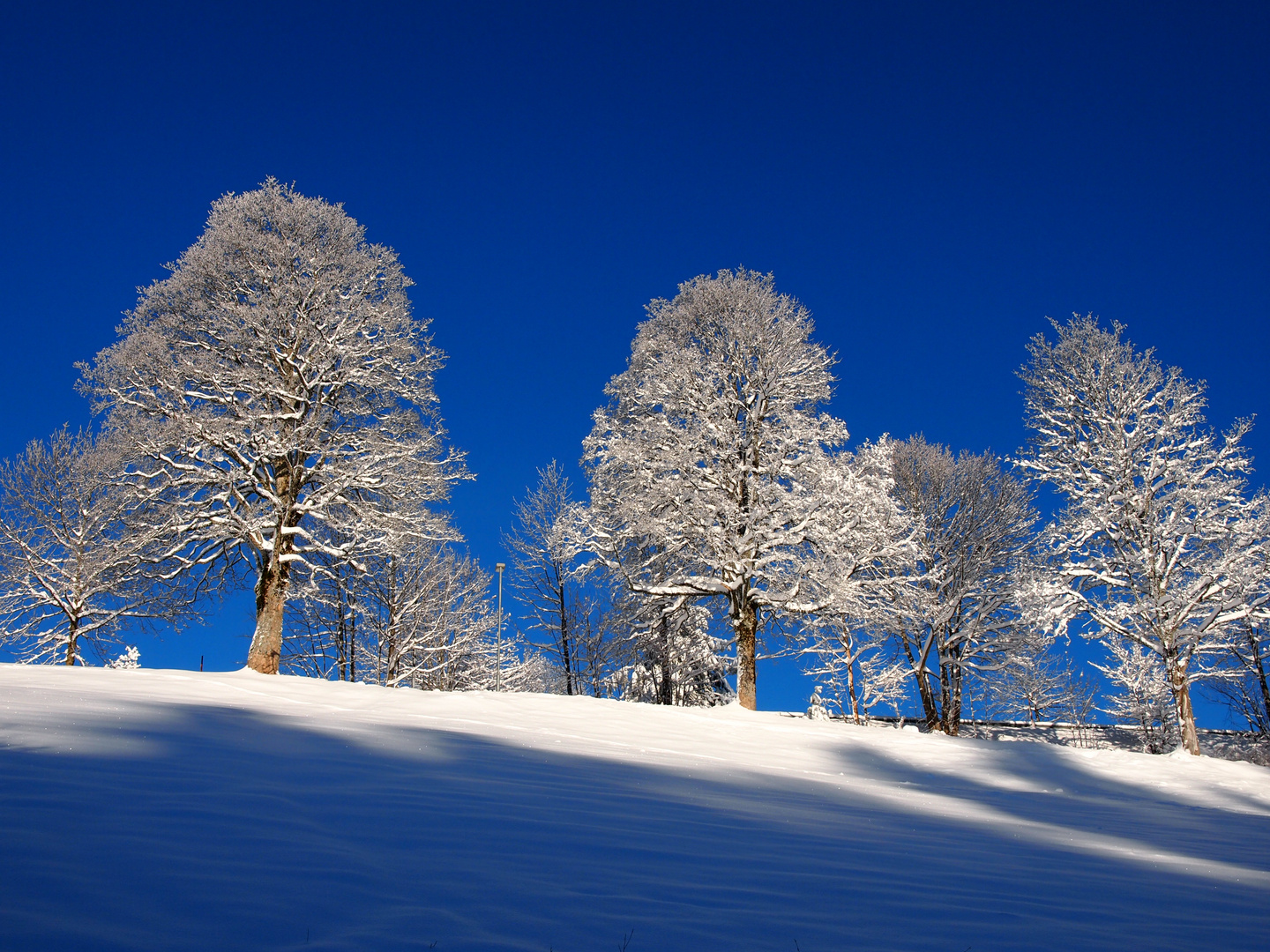 Schöner Wintermorgen 2