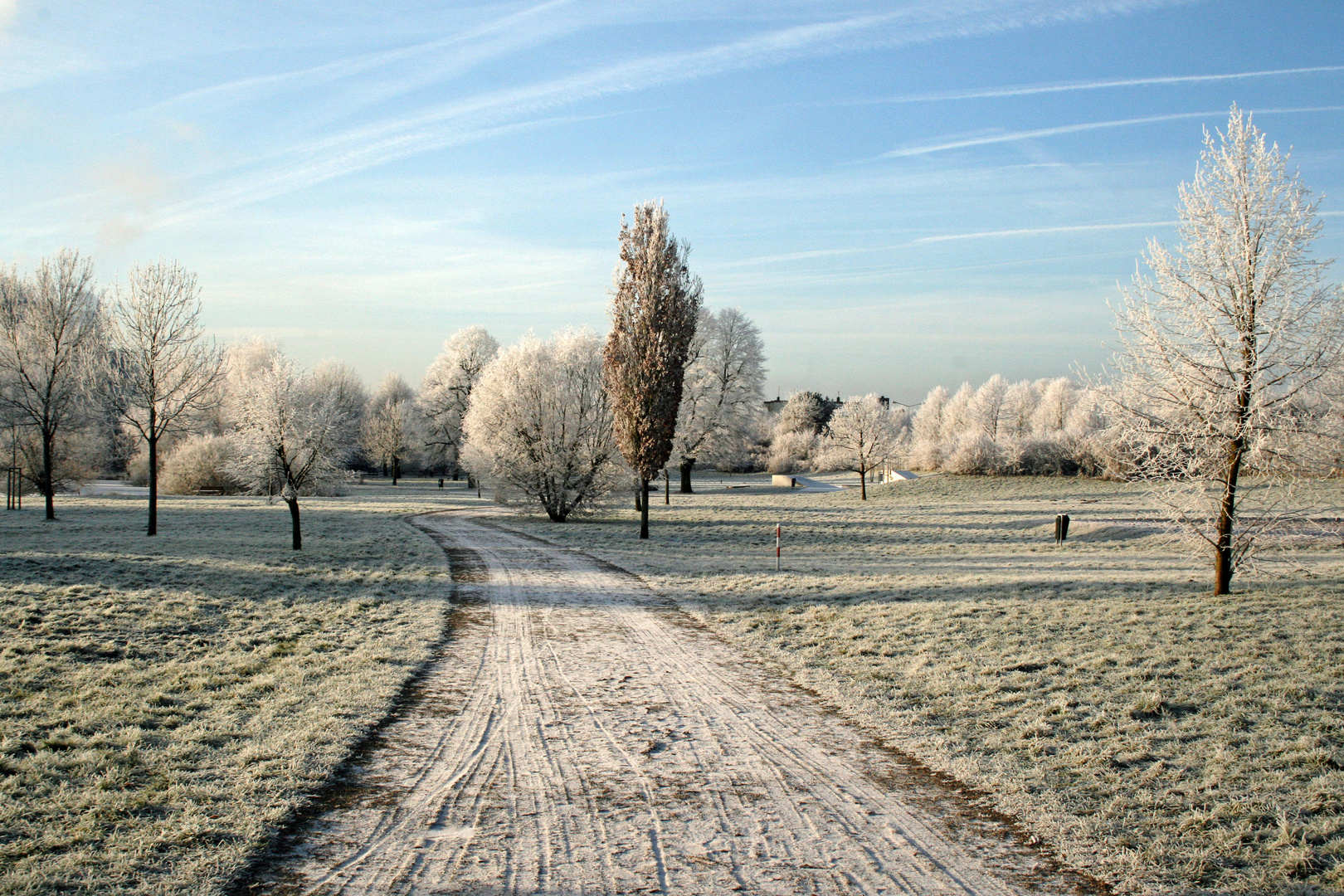 Schöner Wintertag