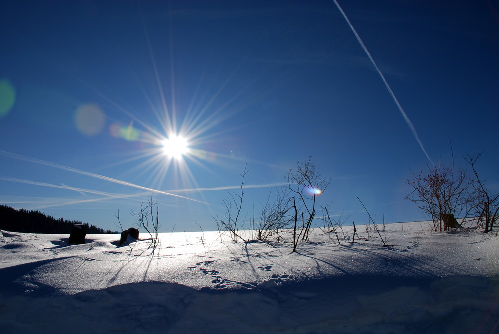 Schöner Wintertag