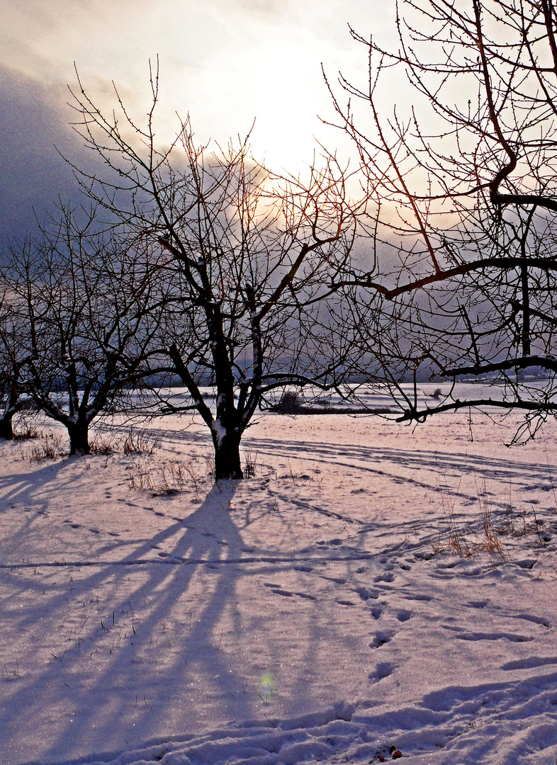 Schöner Wintertag