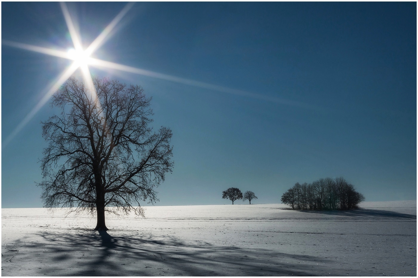 Schöner Wintertag