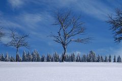 Schöner Wintertag