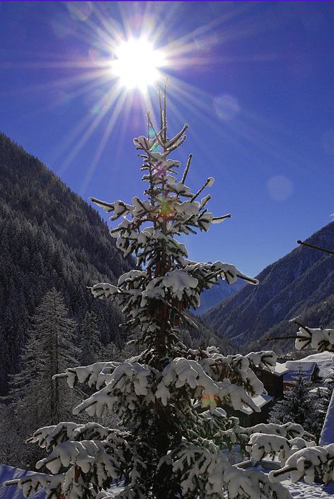 Schöner Wintertag