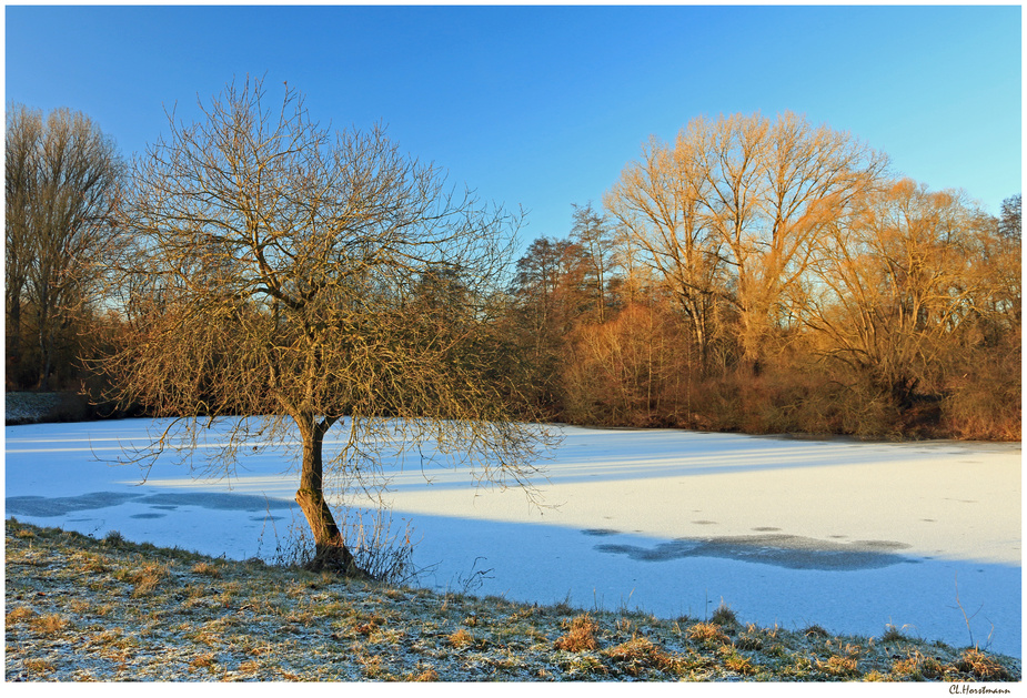 ...schöner Wintertag...