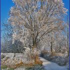 schöner Wintertag