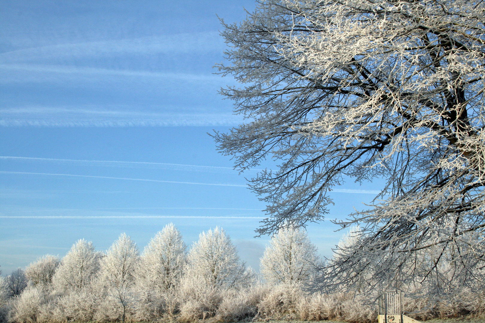 Schöner Wintertag