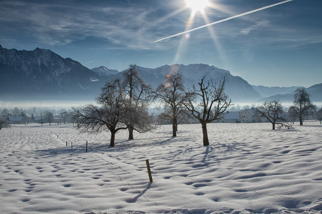 Schöner Wintertag