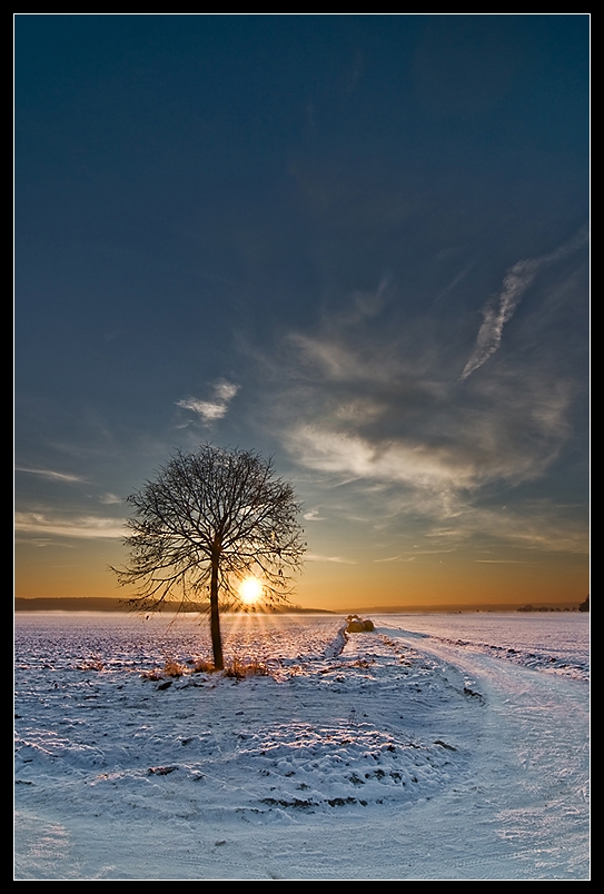 Schöner Wintertag