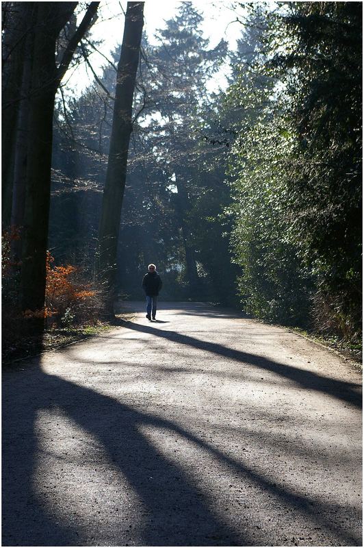 Schöner Wintertag im Bürgerpark