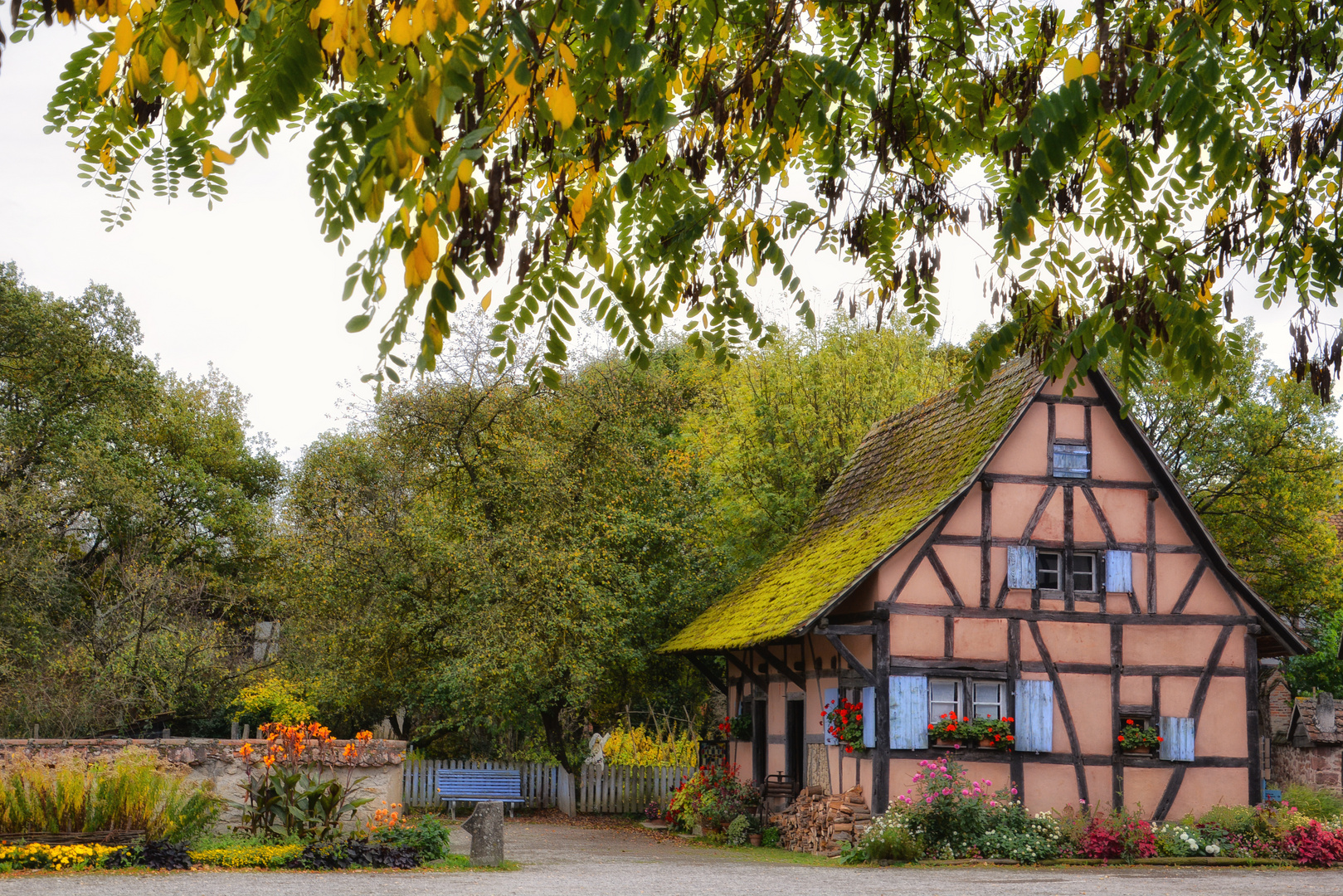 Schöner Wohnen Foto & Bild | wald, herbst, frankreich ...