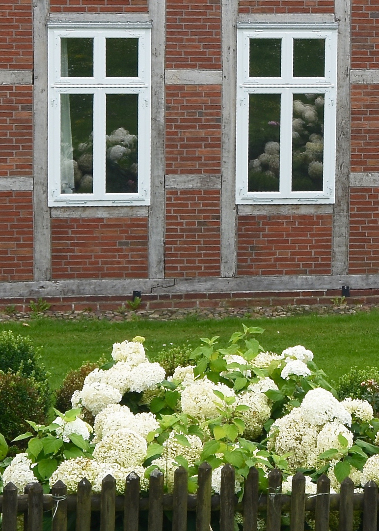 schöner wohnen - auch in einem alten Fenster blühen frische Blumen.