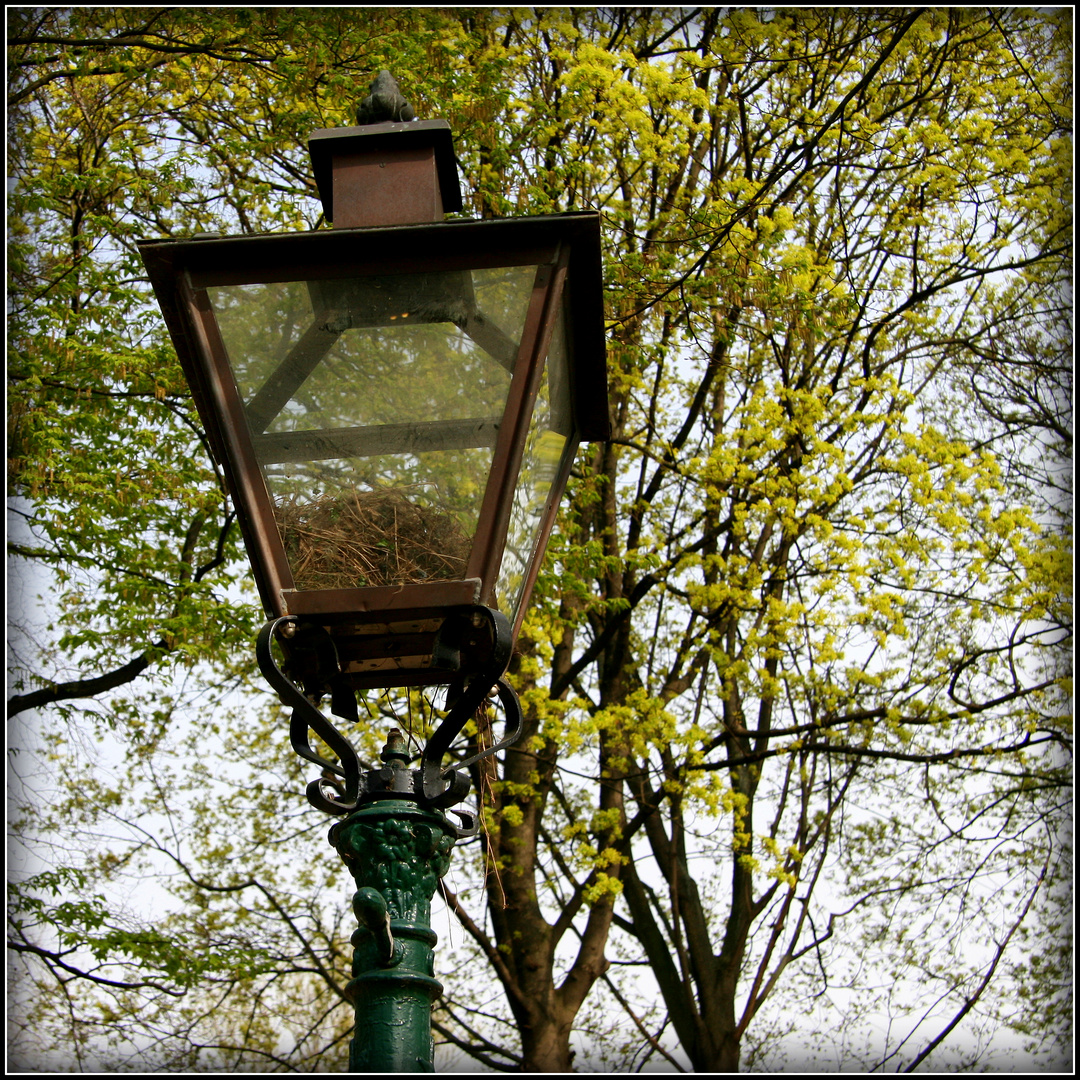 schöner wohnen... Foto & Bild | lampen und leuchten, alltagsdesign ... schöner wohnen... Foto & Bild | lampen und leuchten, alltagsdesign ...