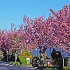 Schöner wohnen im Fühling jn Borthen bei Dresden und himmlische Ruhe...