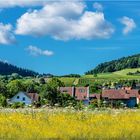 Schöner Wohnen im Münstertal