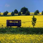 Schöner wohnen in Feld und Flur?