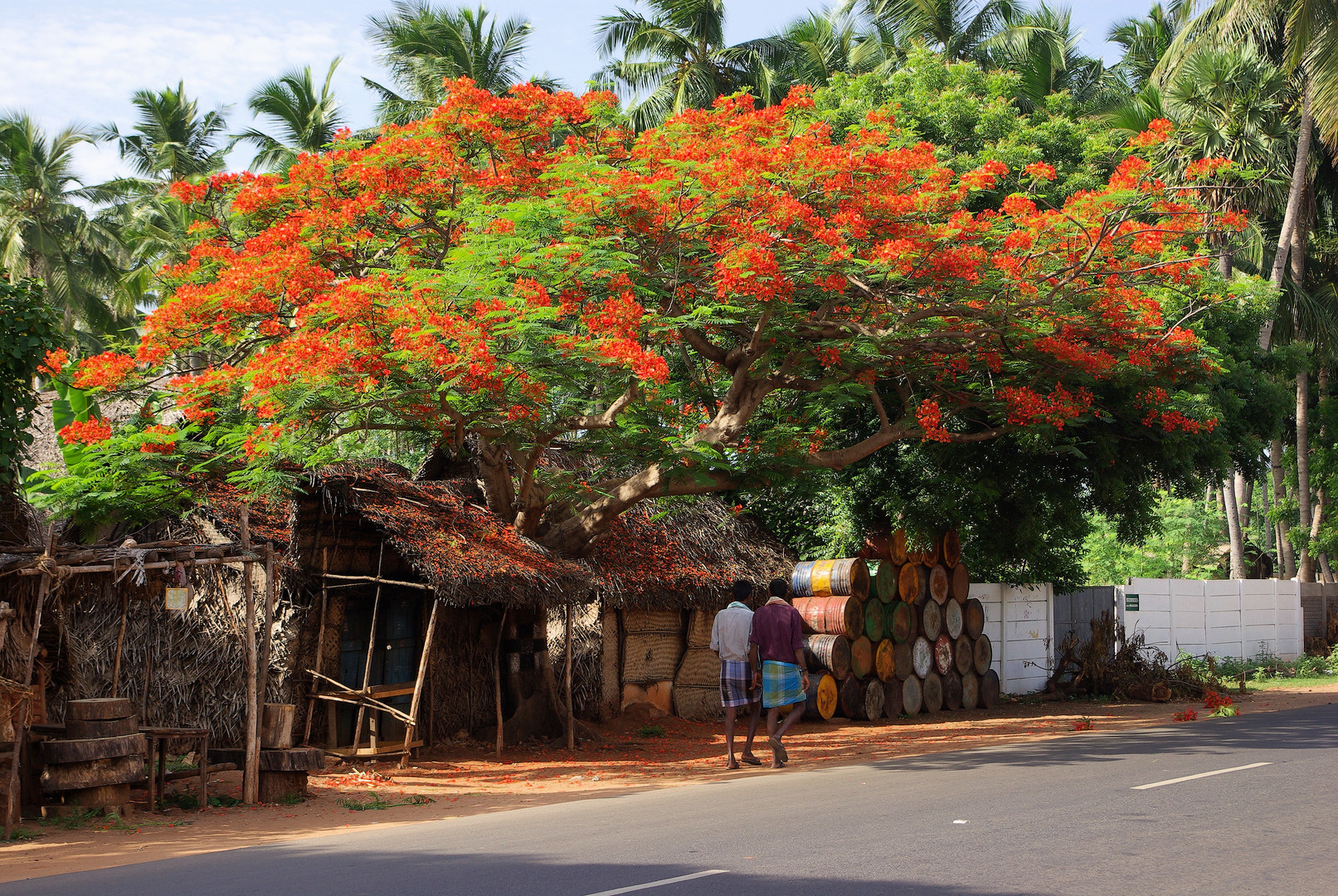 Schöner wohnen in Indien