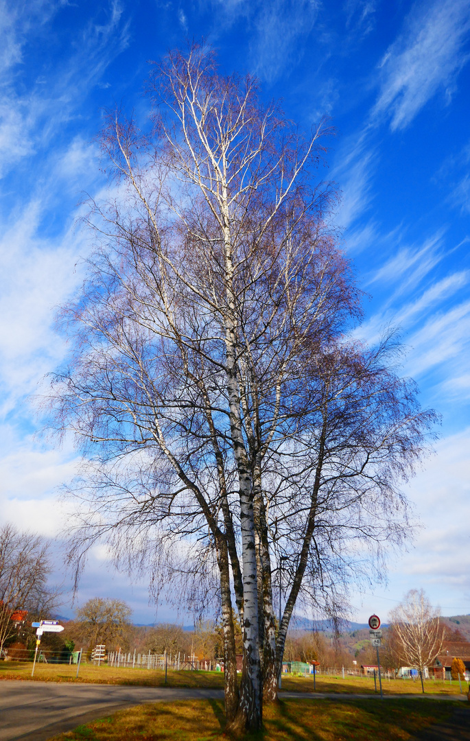 Schöner Wolkenhimmel im Januar 2020