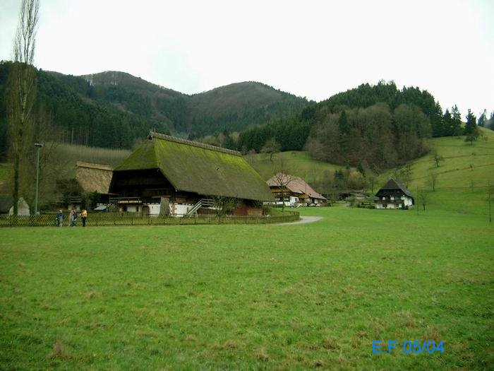 Schöneres Leben ?