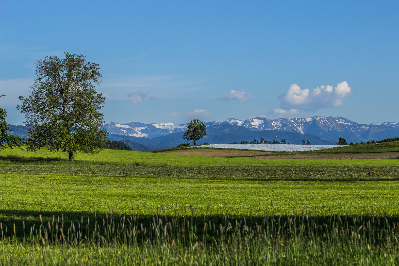 Schönes Allgäu Teil 2