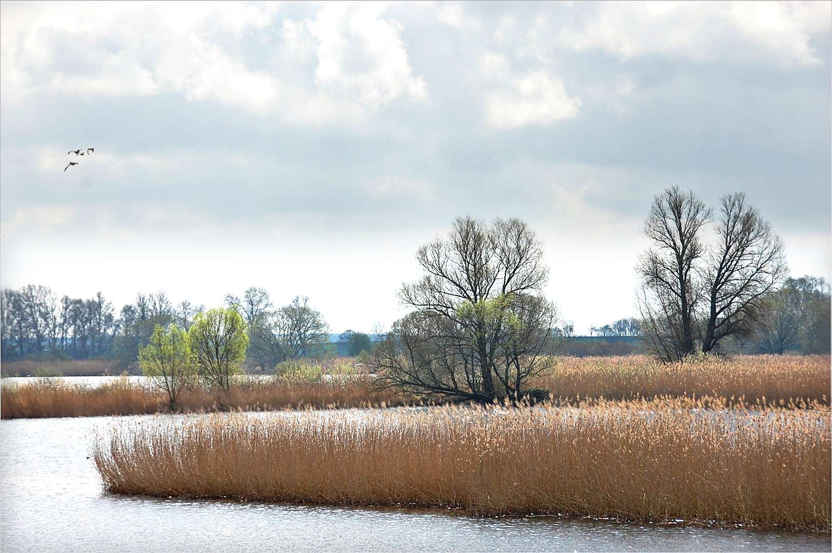 schönes Brandenburg