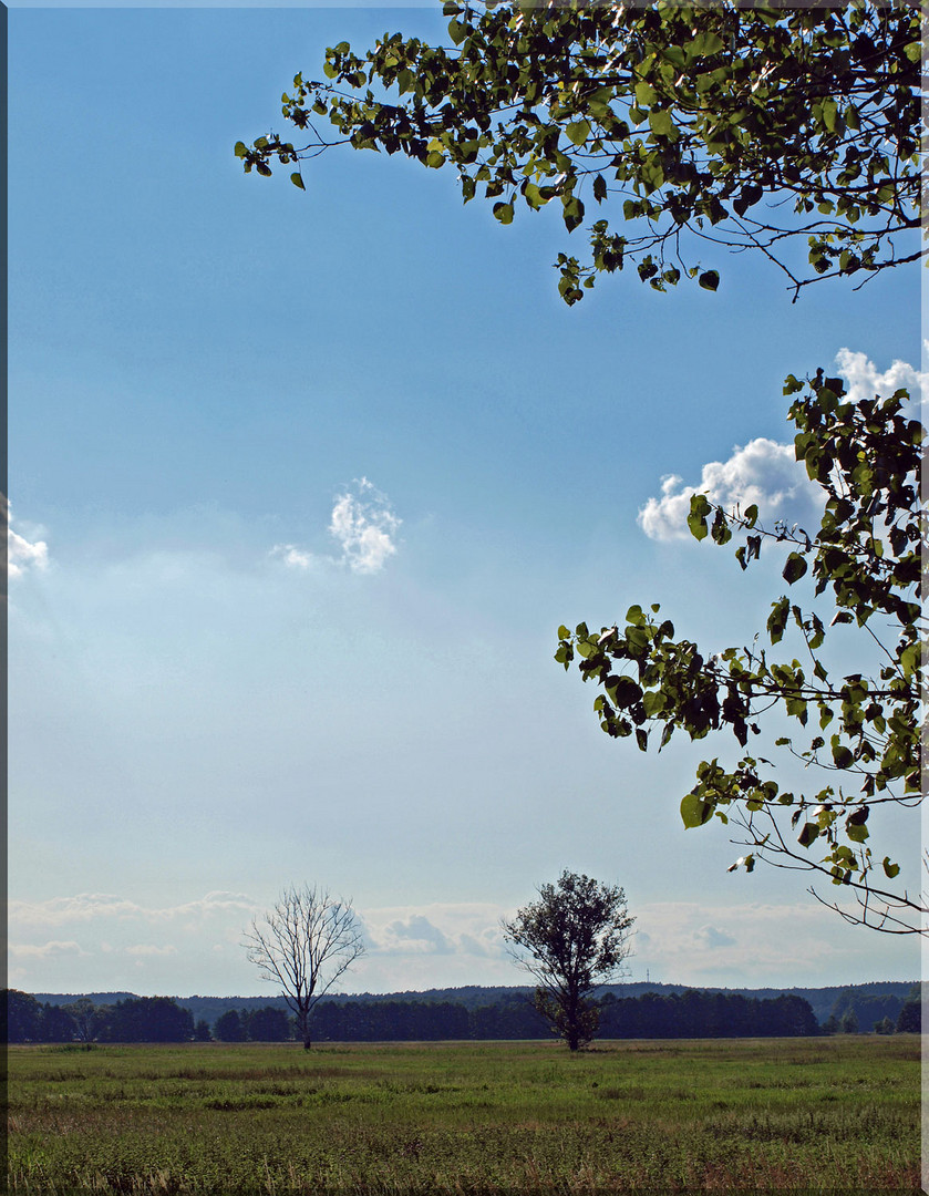 Schönes Brandenburg - Die Weite 1