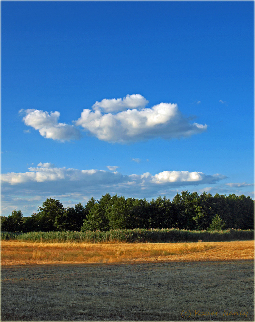 Schönes Brandenburg - Die Weite 3