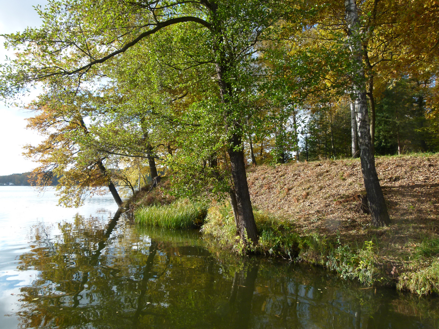 Schönes Brandenburg (Scharmützelsee2)