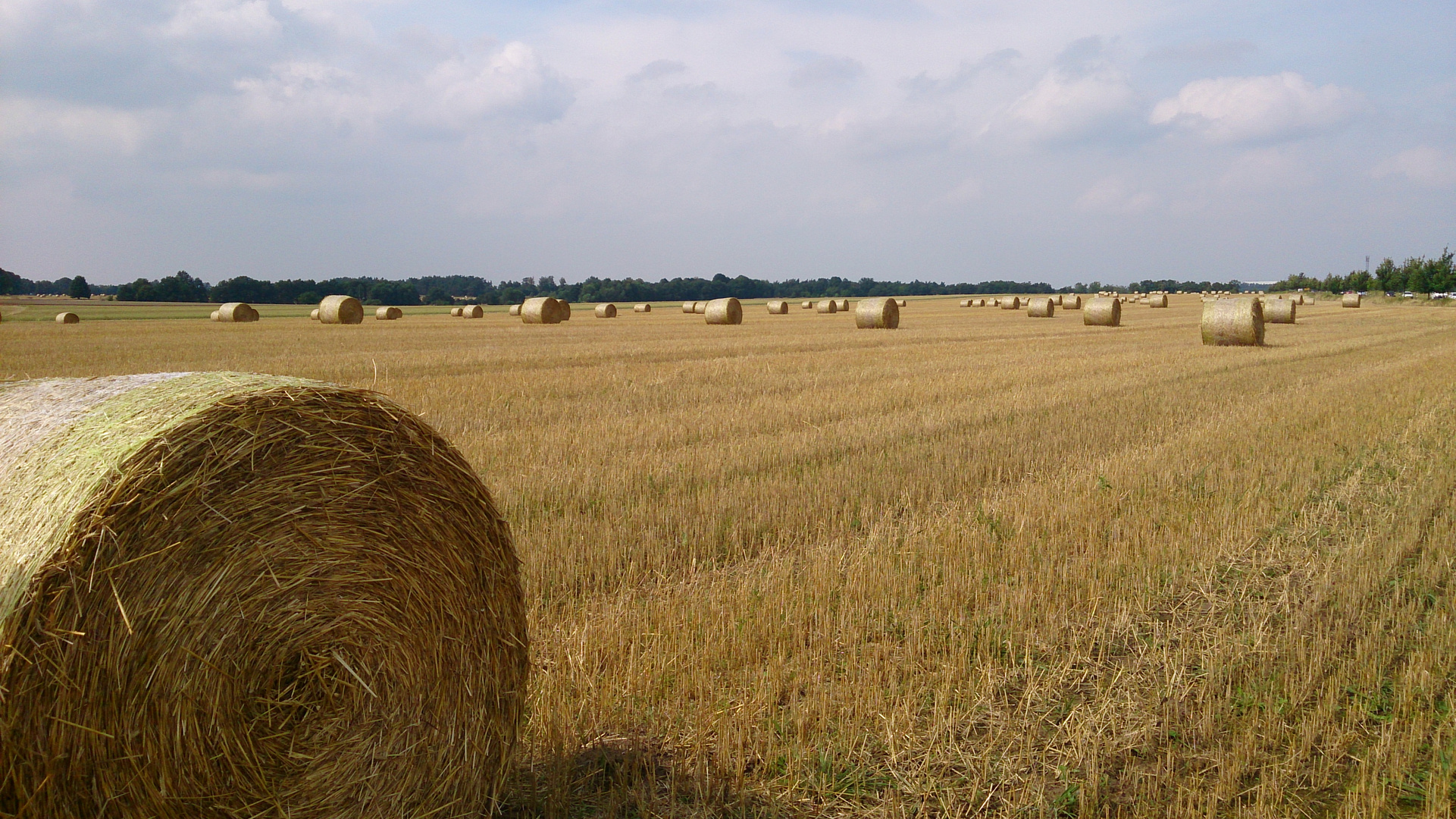 Schönes Brandenburger Land