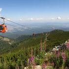Schönes Bulgarien: Musala (Rila-Gebirge) 2