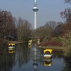 Schönes Deutschland: Luisenpark Mannheim 1